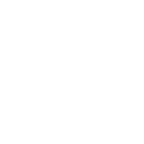 Models in Cyprus Logo 2025